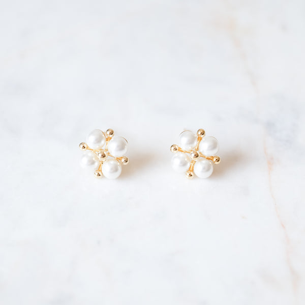 Aretes Peonnias